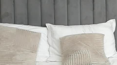 AryaTessa online show from 02/25/25, 08:36