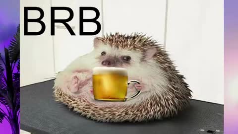 AshleyAshe  online show from 02/16/25, 08:22