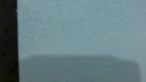 Snapshot of ashley_prg2 chatting on 03/06/26, 03:25 Ashley online show from 03/06/26, 03:25