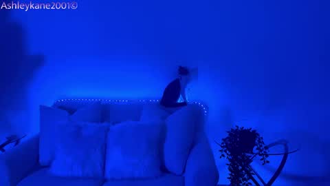 Snapshot of ashleykane2001 chatting on 01/20/25, 04:54 Ashley online show from 01/20/25, 04:54