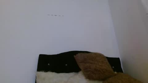 Snapshot of ashleyt1998 chatting on 04/05/26, 02:25 ASHLEY online show from 04/05/26, 02:25