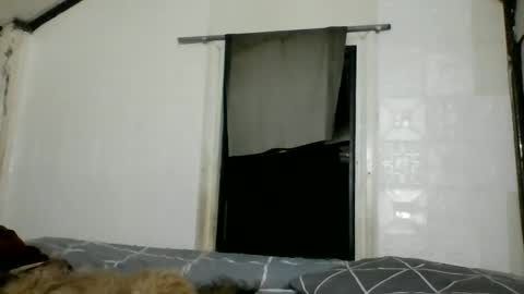 asianladyboy888 online show from 03/07/25, 09:06