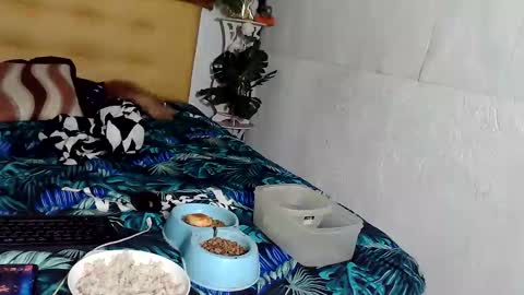 asianladyboy888 online show from 11/24/25, 04:07