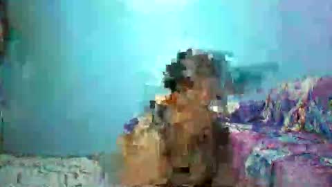 Snapshot of asiansexygirlxoxo chatting on 04/26/26, 04:26 ann online show from 04/26/26, 04:26