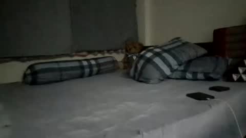 Snapshot of asianthai chatting on 09/21/25, 09:27 asianthai online show from 09/21/25, 09:27