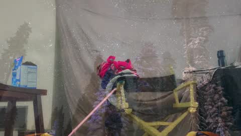 aspiringturtlegirl online show from 03/04/26, 03:40