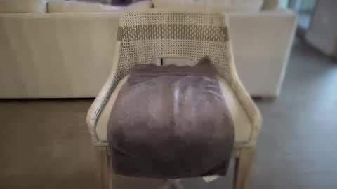 Snapshot of assfucklovee chatting on 12/16/24, 02:49 assfucklovee online show from 12/16/24, 02:49