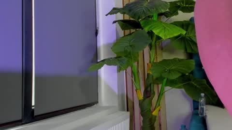 AsshleySing online show from 02/23/26, 06:00