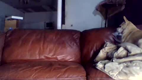 Snapshot of assholeslut9000 chatting on 12/15/25, 01:43 Tell me spread and Ill spread online show from 12/15/25, 01:43