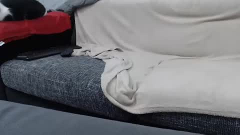 MARCO online show from 01/16/25, 06:59