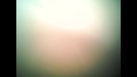 at4201993 online show from 10/28/25, 09:28