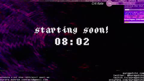 Snapshot of auragotchi chatting on 02/17/25, 04:20 Aurora Aura online show from 02/17/25, 04:20