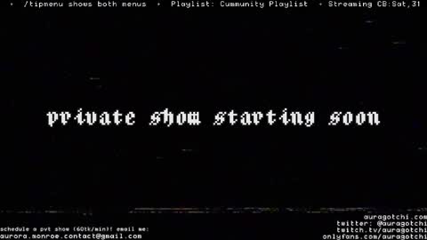 Snapshot of auragotchi chatting on 03/01/25, 08:23 Aurora Aura online show from 03/01/25, 08:23