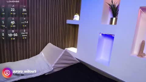 aurora_willow9 online show from 02/03/26, 06:57