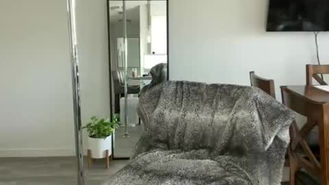 Snapshot of ava_petite_ chatting on 04/15/26, 07:58 Little Ava online show from 04/15/26, 07:58