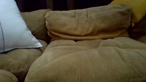 averagecock696969 online show from 02/23/25, 06:17