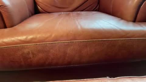 avgdiver online show from 01/18/26, 08:23