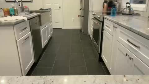 Snapshot of avgdiver chatting on 03/23/26, 11:14 avgdiver online show from 03/23/26, 11:14