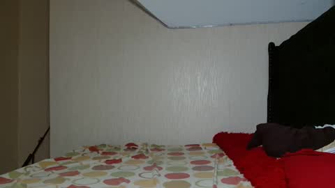 Avian online show from 11/02/25, 08:44