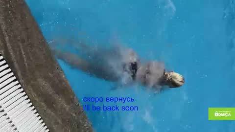 avr0ria online show from 01/15/26, 05:34