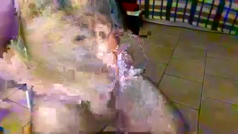 axisbest online show from 10/26/25, 01:11