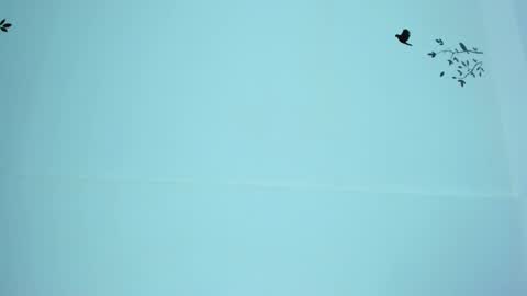 Mariana online show from 03/12/25, 11:12