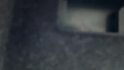 AYBOY online show from 11/17/25, 11:38