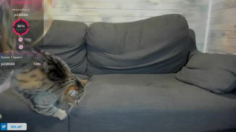 Snapshot of azalea_love chatting on 04/16/26, 01:23 Maribel Bel online show from 04/16/26, 01:23