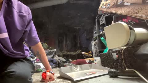 baby buddha  online show from 12/30/24, 10:53