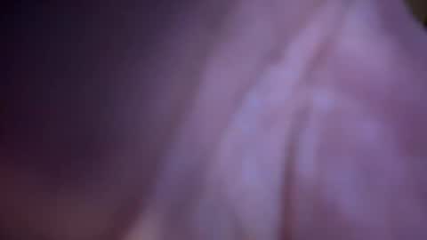 baby buddha  online show from 01/29/25, 01:28