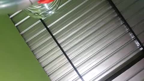 baby_dancer_21 online show from 12/07/24, 05:04