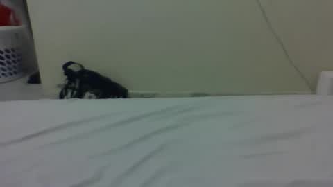 Snapshot of baby_lucky35865 chatting on 03/27/26, 12:38 needoh online show from 03/27/26, 12:38