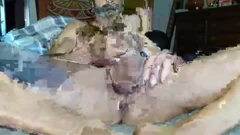 Snapshot of babyblue_1973 chatting on 12/16/24, 03:00 Poindexxxter online show from 12/16/24, 03:00