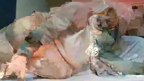 Snapshot of babyblue_1973 chatting on 02/20/25, 07:08 Poindexxxter online show from 02/20/25, 07:08