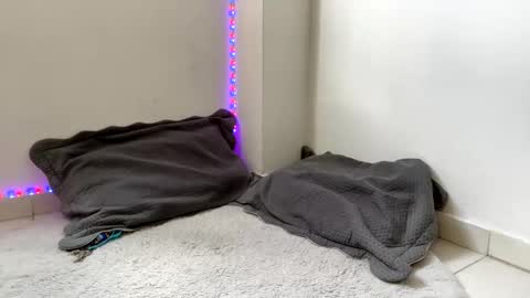 Snapshot of babycrazy24love chatting on 03/02/25, 05:47 babycrazy24love online show from 03/02/25, 05:47