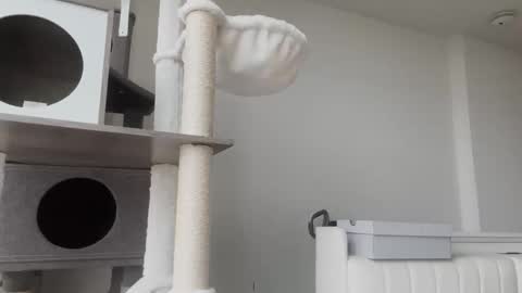 DADDY online show from 01/08/26, 11:01