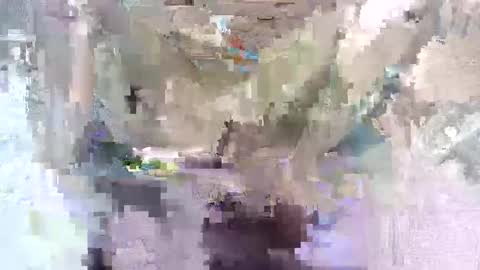 Snapshot of babymom1 chatting on 03/07/25, 08:33 babymom1 online show from 03/07/25, 08:33