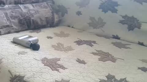 Snapshot of babymom1 chatting on 03/09/25, 02:21 babymom1 online show from 03/09/25, 02:21