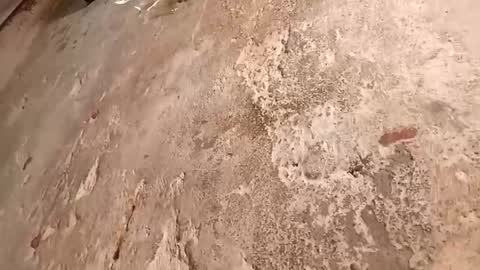 Snapshot of babyy_foxxy chatting on 10/02/25, 09:22 Megan online show from 10/02/25, 09:22