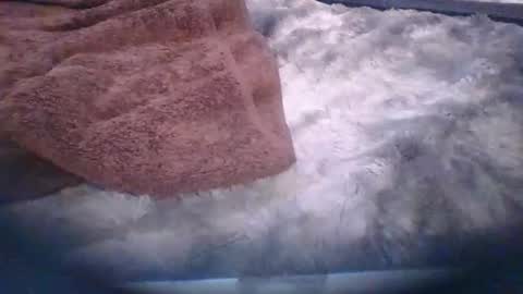 bacchusexx15 online show from 03/30/26, 06:42