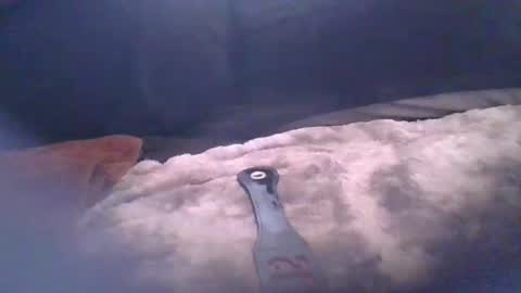 bacchusexx15 online show from 04/17/26, 04:43