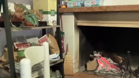 bach online show from 12/12/24, 06:53