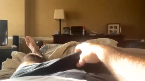 Snapshot of backbay90 chatting on 12/31/24, 02:03 Backbay90 online show from 12/31/24, 02:03