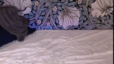 Ava online show from 09/30/25, 01:21