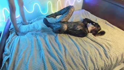 Snapshot of bada_b1ng chatting on 12/07/24, 02:35 bada_b1ng online show from 12/07/24, 02:35