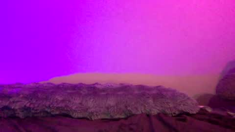 baddiejess618433 online show from 12/14/24, 04:45