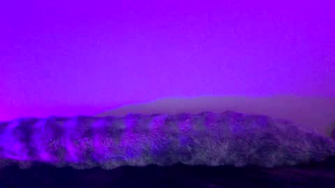 baddiejess618433 online show from 12/18/24, 05:26