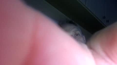 Snapshot of badger150 chatting on 12/22/24, 11:41 badger150 online show from 12/22/24, 11:41