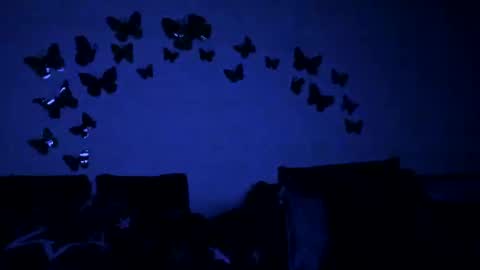 Gina online show from 02/12/25, 06:09