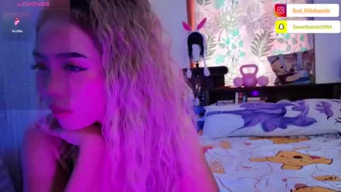 badlilbambi online show from 11/04/25, 04:33